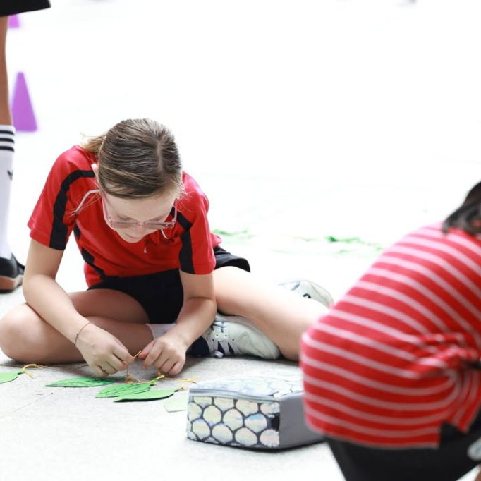 682708147_1493497389454279_4428015111562144697_n