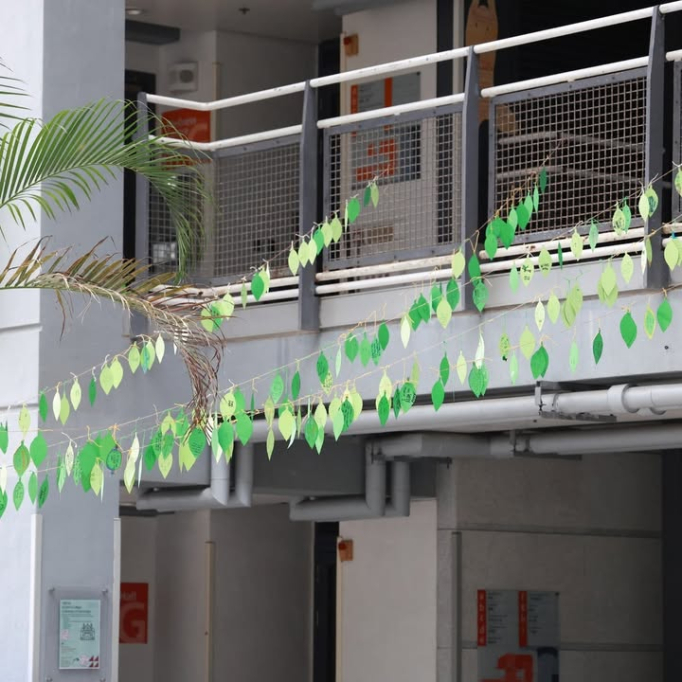 682221345_1493497249454293_2350159545612282507_n