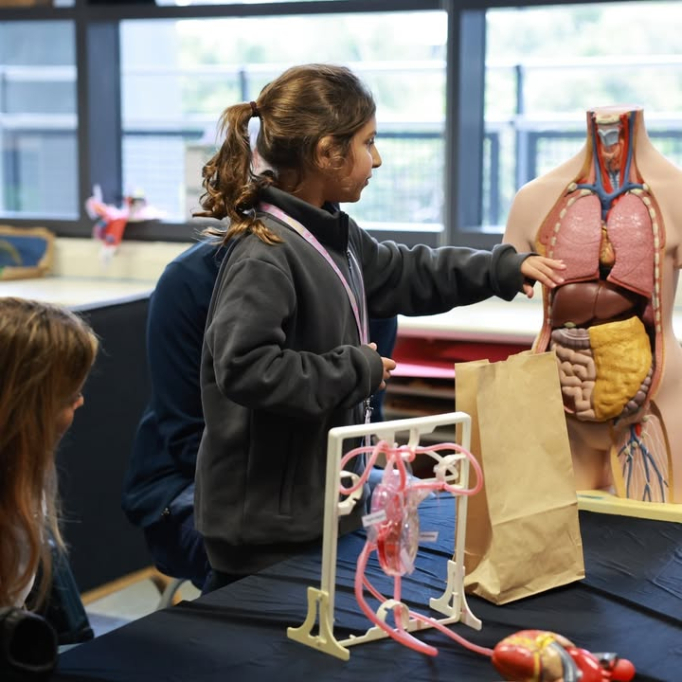 625158651_1418774983593187_6568210367074139410_n