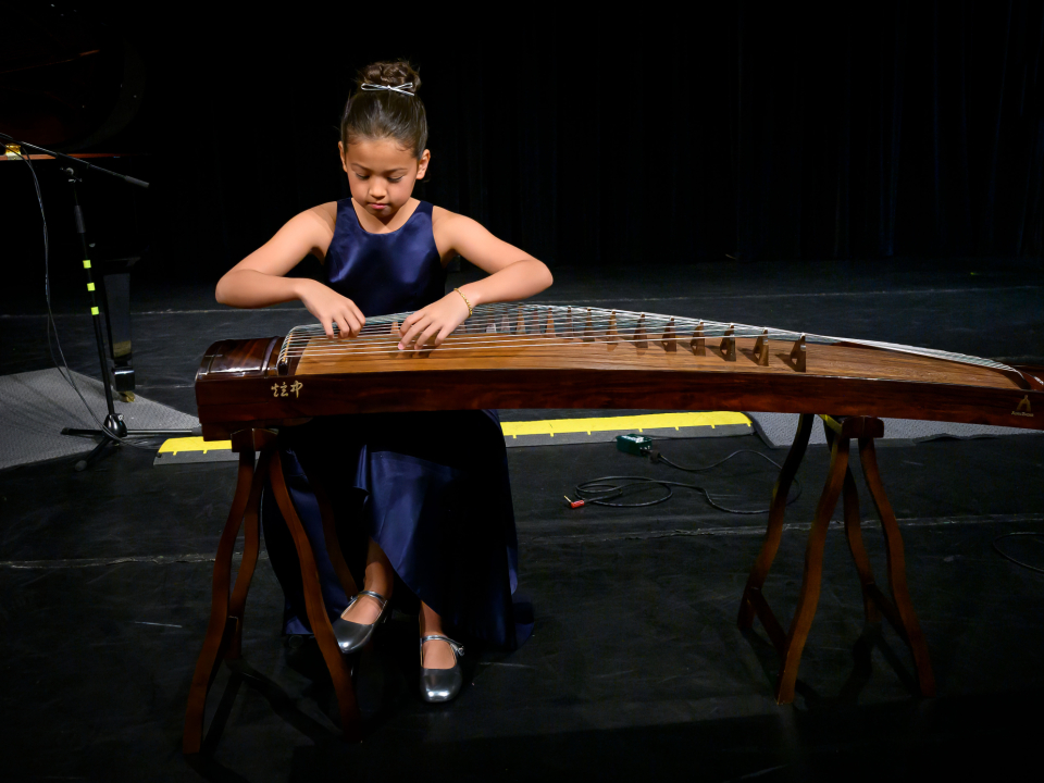 recital 86