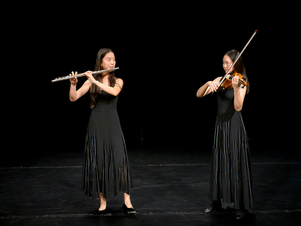 recital 88 (1)