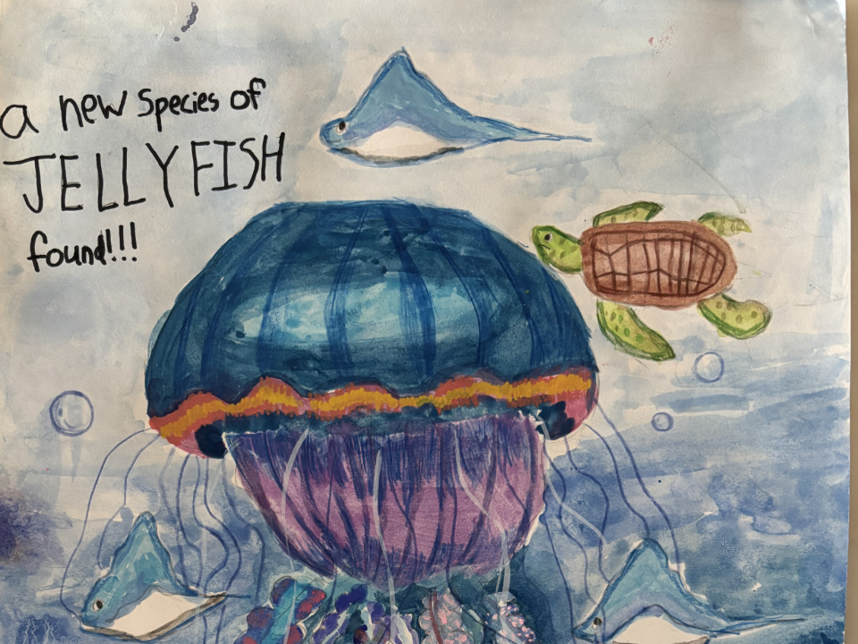 Y4_HowardYuen_ANewSpeciesofJellyfishTomorrow