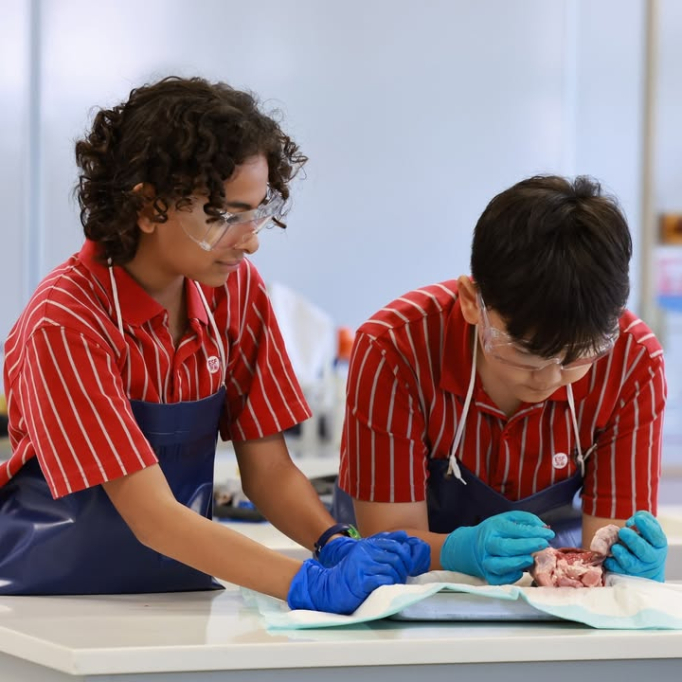 633312554_1427607299376622_7077308645060817596_n