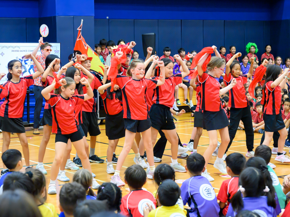 primary assembly 41