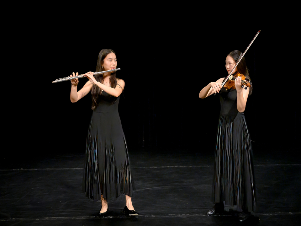 recital 88